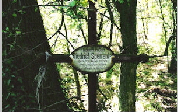 Bild 015.F09 Ev. Friedhof Steinicksheim