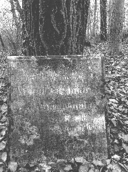 Bild 042.F46 Ev. Friedhof Radenz