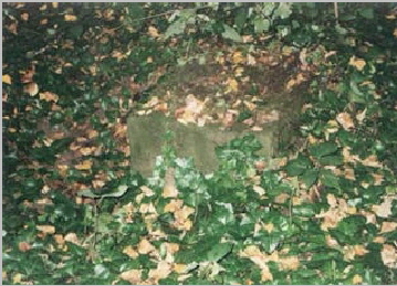 Bild 059.F20 Ev. Friedhof Pogorzela